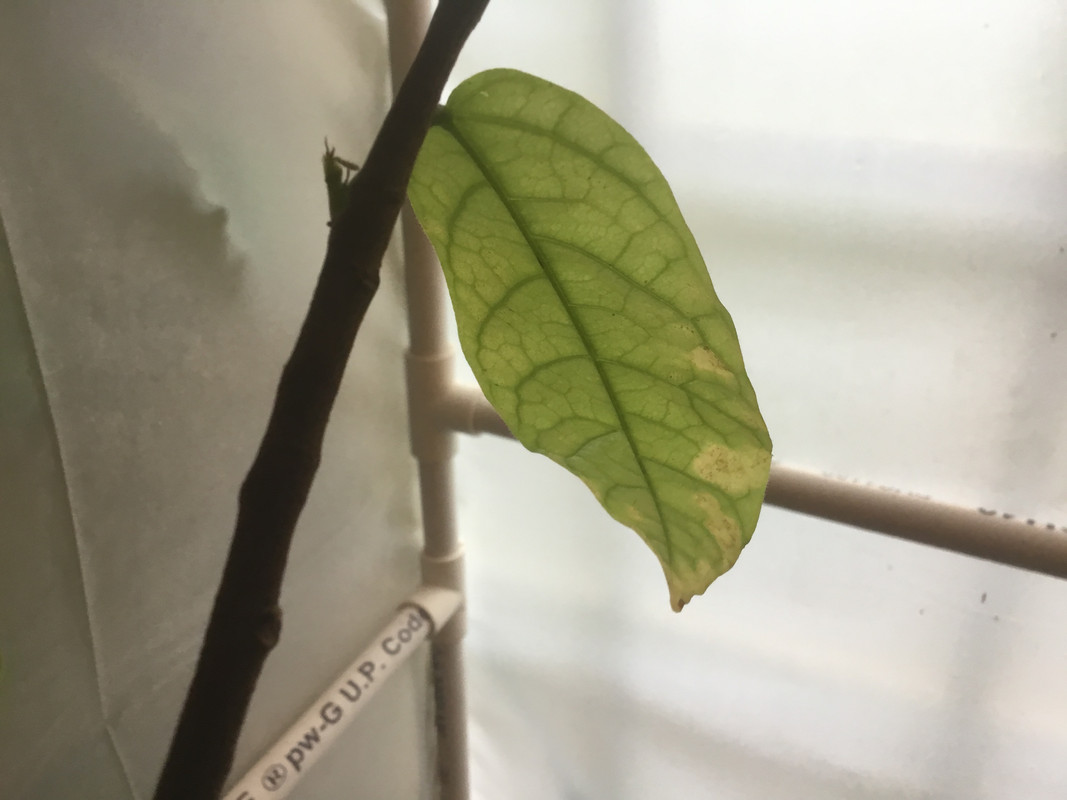 384E3518-9992-4FA1-83AE-A02DEA346782