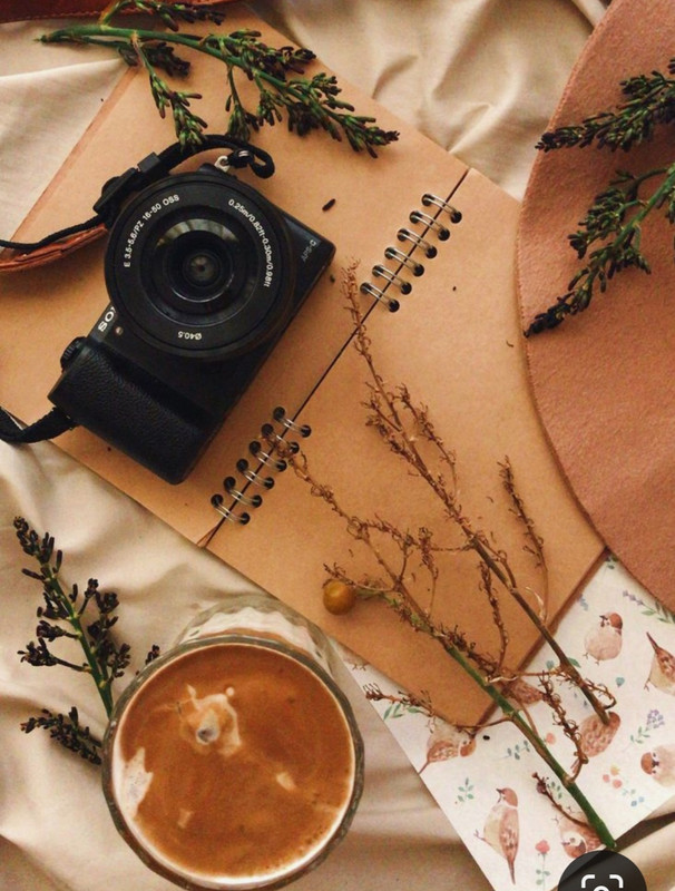 Screenshot_20240502_231830_Pinterest