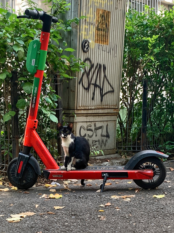 E2FB71D8-F791-4E46-8579-62401EC3F8EC