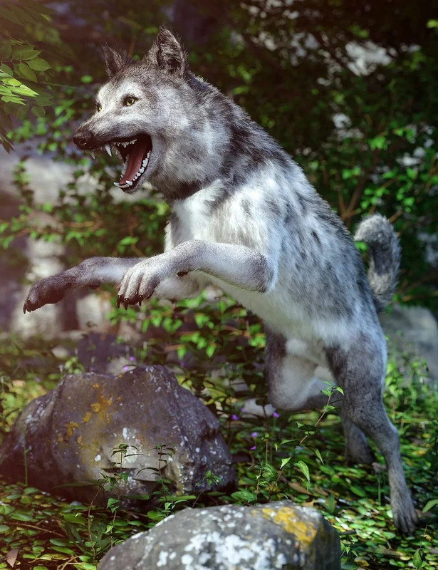 Grey Wolf for Daz Dog 8 Grey Wolf for Daz Dog 8