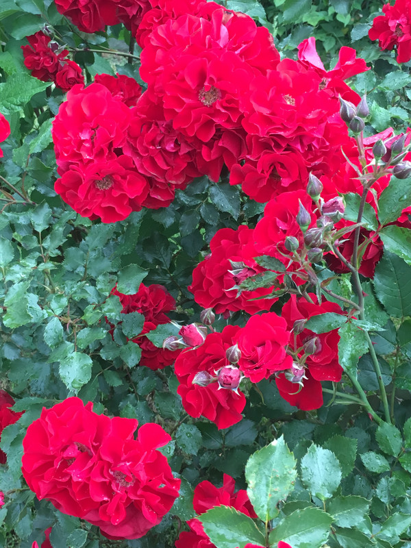 6970F840-71E7-4C5A-80FF-ED9FCCB2702E