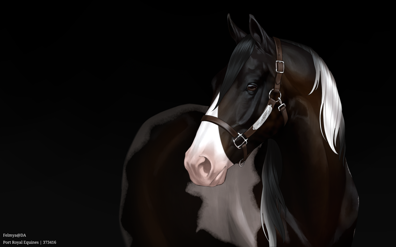 Custom-Base-adult-portrait-Port-Royal-Equi-20240927040621.png
