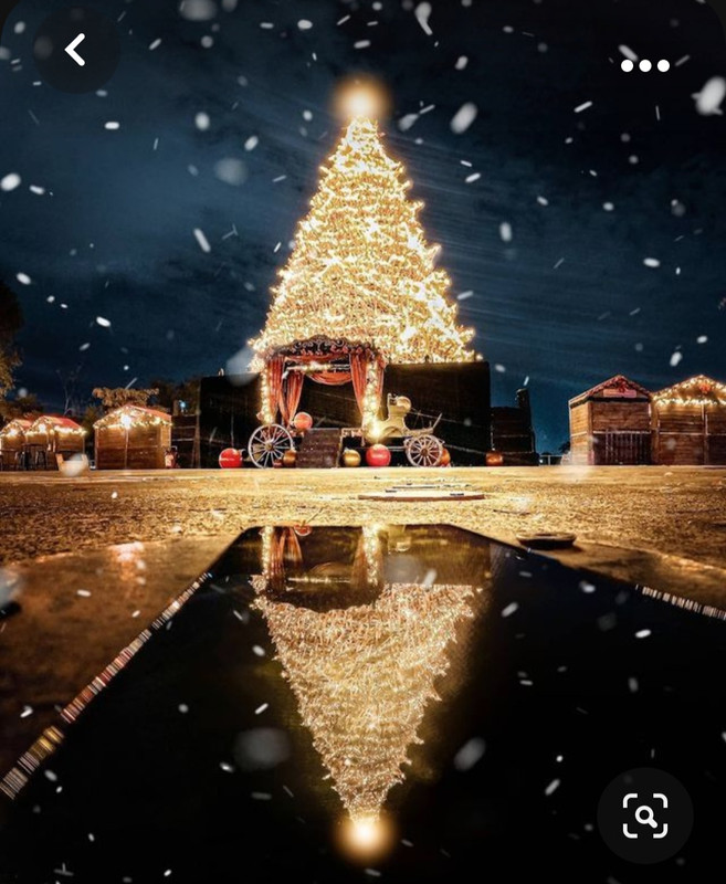 Screenshot_20231016_235451_Pinterest