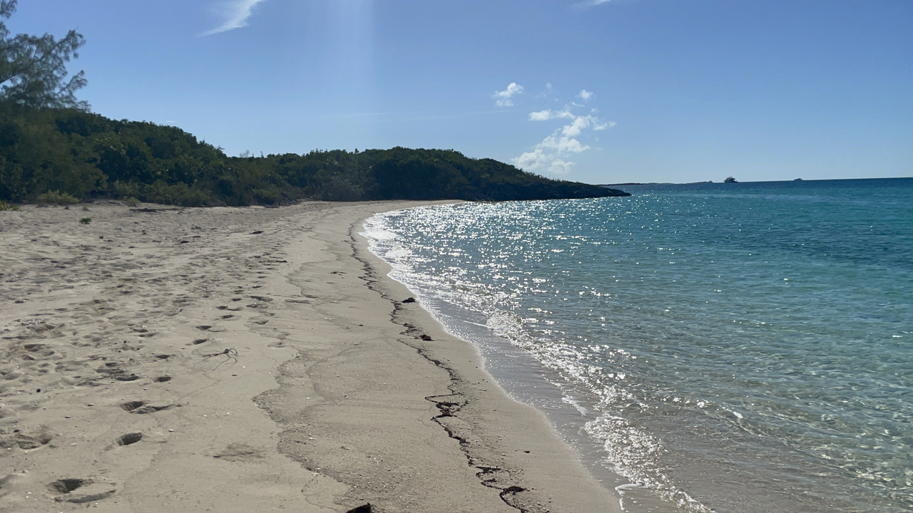 61C50530-4345-4731-84F4-B074EBE720ED