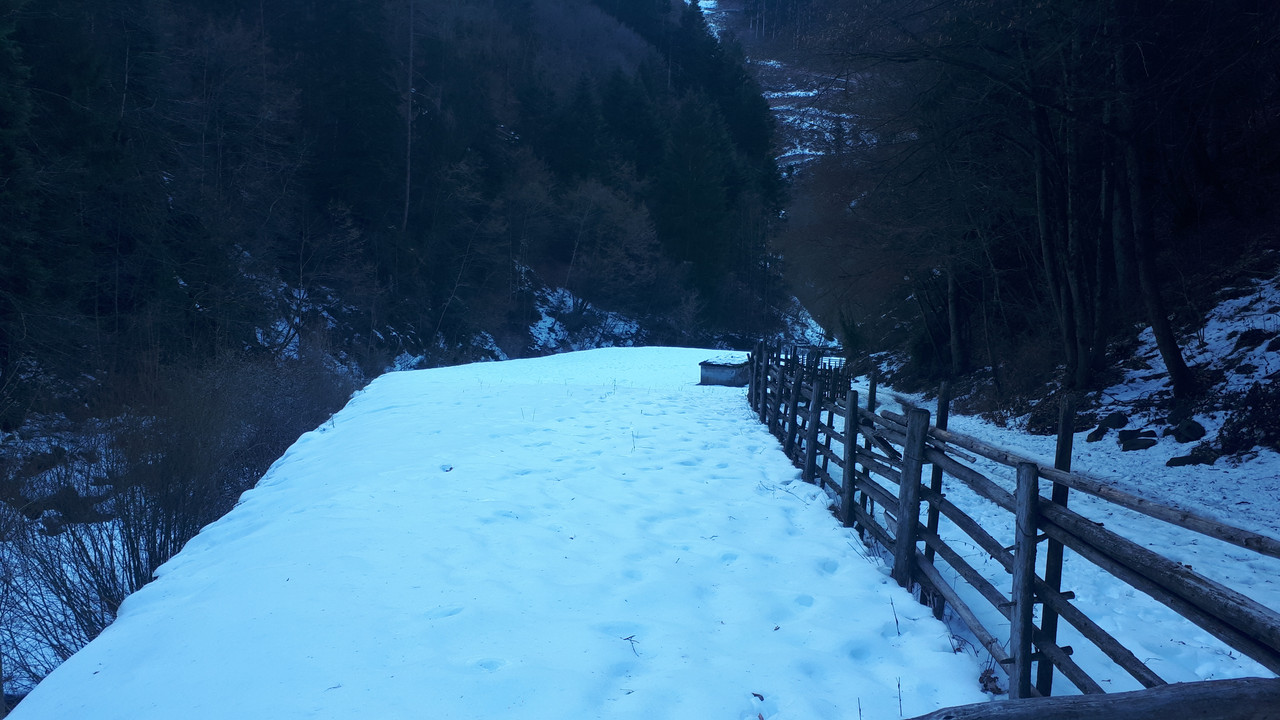 20190225_160622
