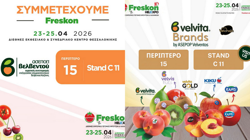 κοζάνη, ειδήσεις, νέα, Πτολεμαΐδα