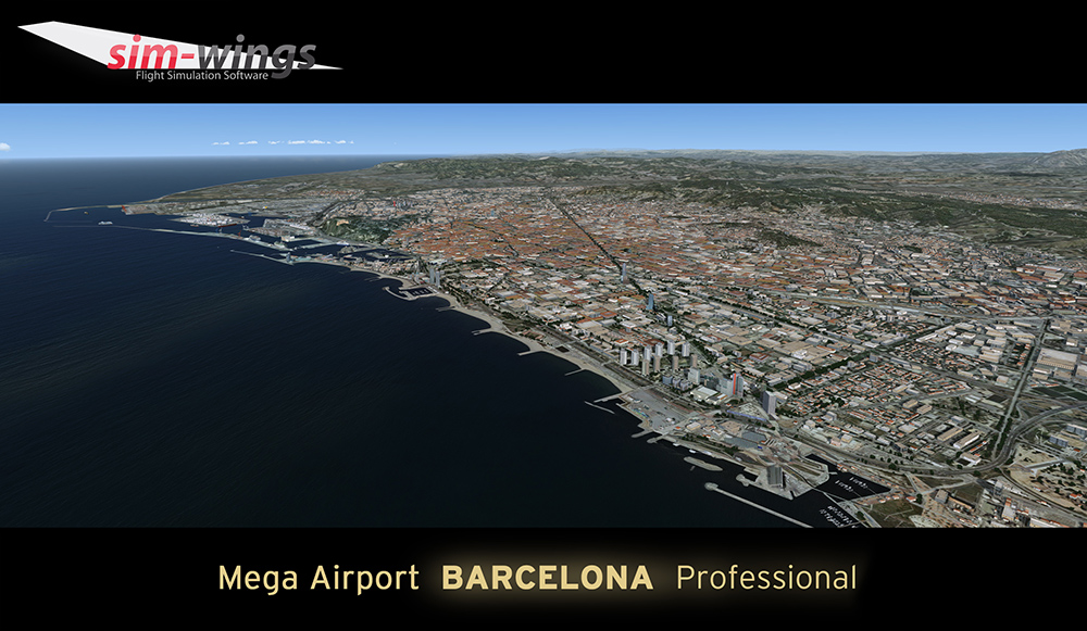 barcelona-professional (20)