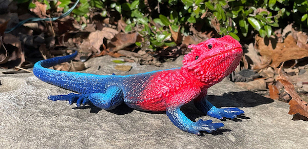 2022 Wildlife Figure of the Year, time for your choices! - Maximum of 5 Mwanza-flat-headed-rock-agama-toy-figure-628644-1400x1400
