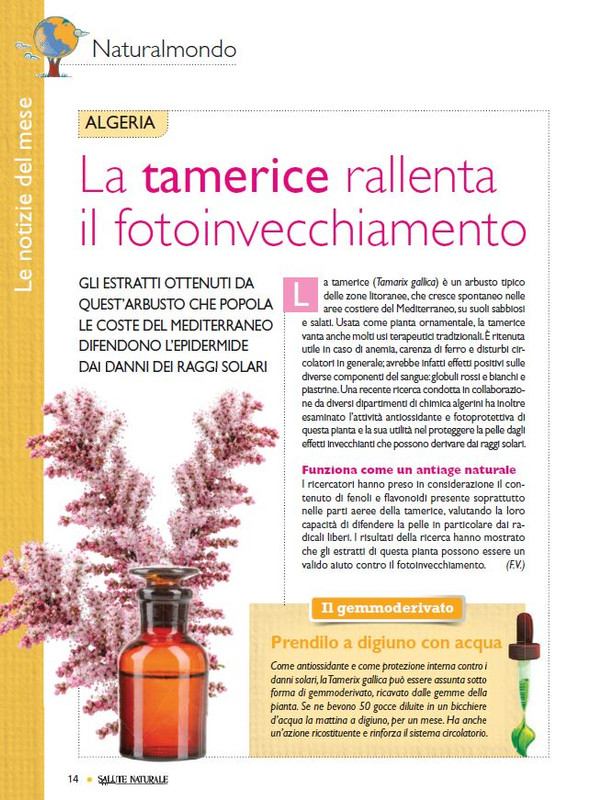 Sal Nat Ago 2021 (1)