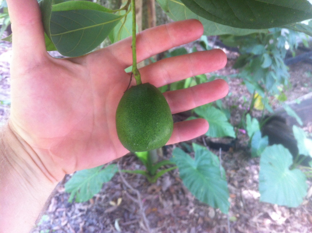 photo(1)