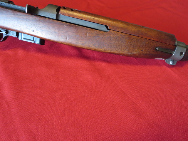 Waff-ank-Clearwater-087