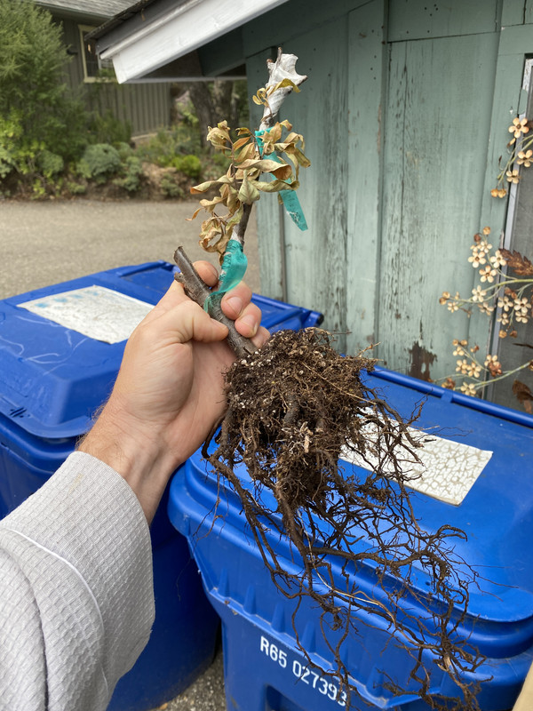 A92022EF-1C05-4C85-8FEE-18C94536B9B0