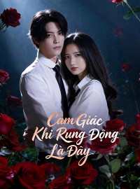 Cảm Giác Khi Rung Động Là Đây