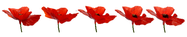 barre-coquelicot