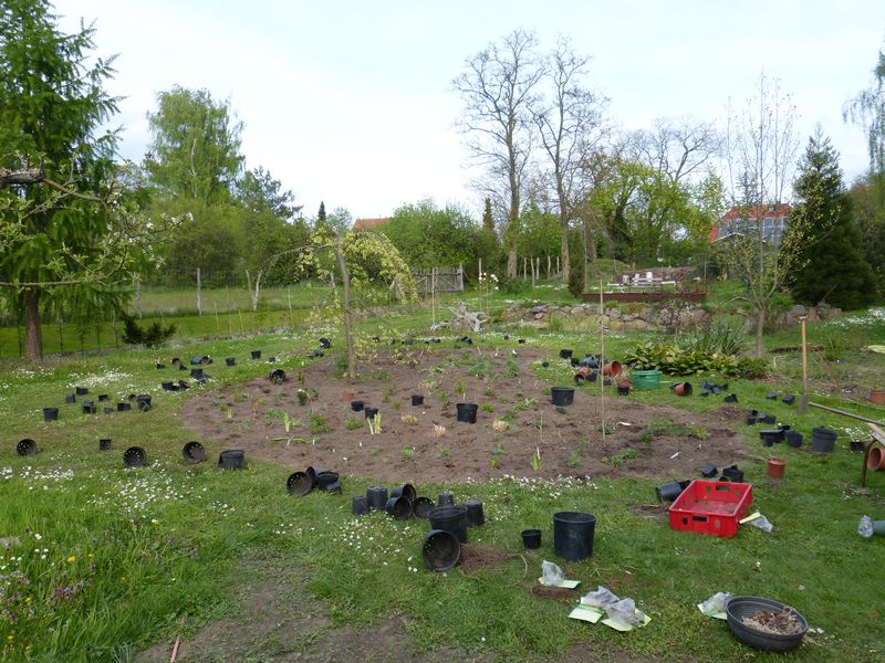 2014-04-20 Gräserbeet4