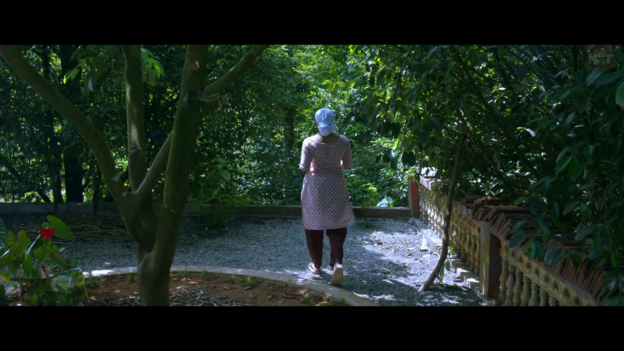 vlcsnap 2026 02 11 15h45m10s231