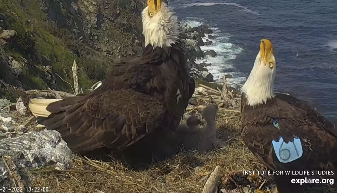 C49CCE01-3815-41F3-897A-04A5F173962B