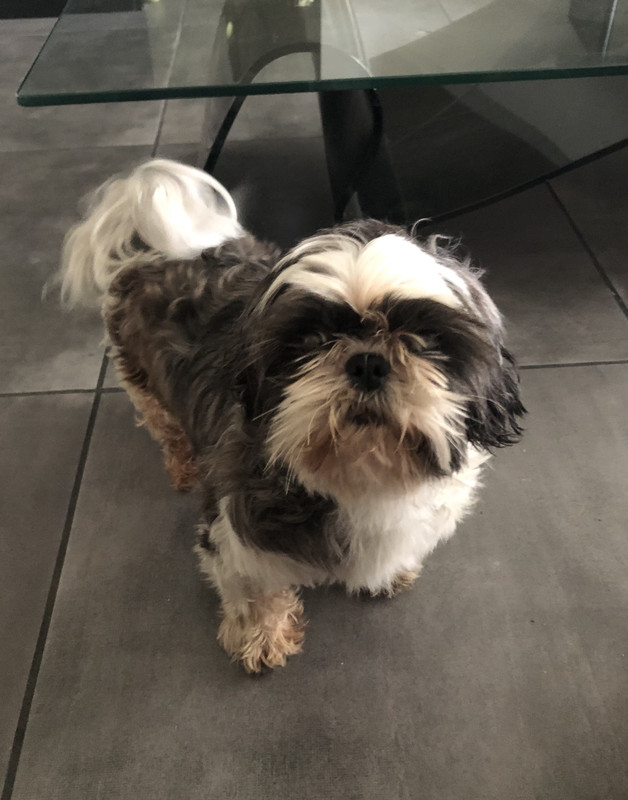 [Image: 9-CCCFE9-A-081-F-4224-9-CA4-E7-DFE6-B73909.jpg]