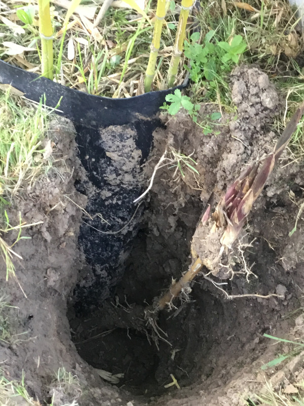 36B9F83C-260F-47ED-8E5E-1C5B7E1724A9