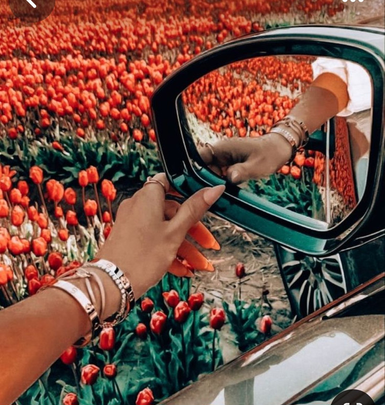 Screenshot_20240603_222738_Pinterest