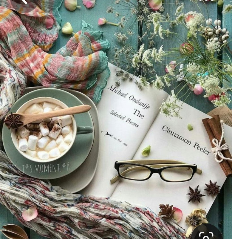 Screenshot_20230819_224541_Pinterest