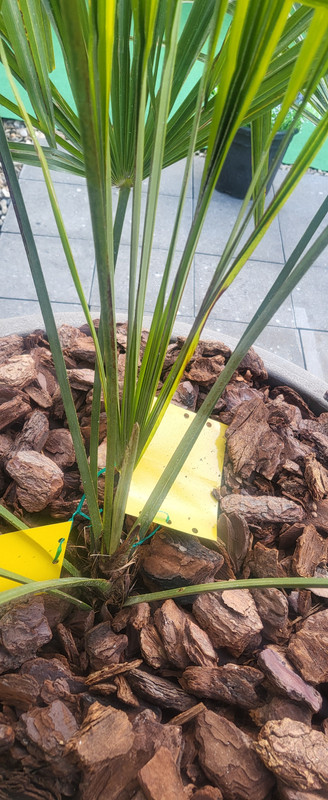 17433399994186342463006063855518