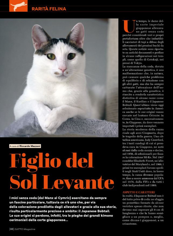 Ga Ma Feb-Mar 2025 (7)