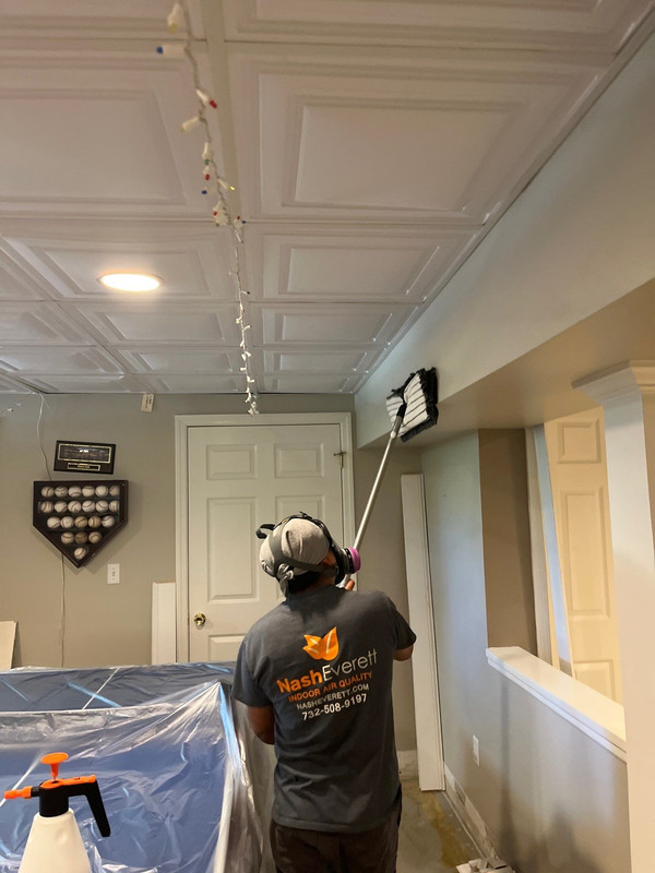 Black Mold Removal in Berlin