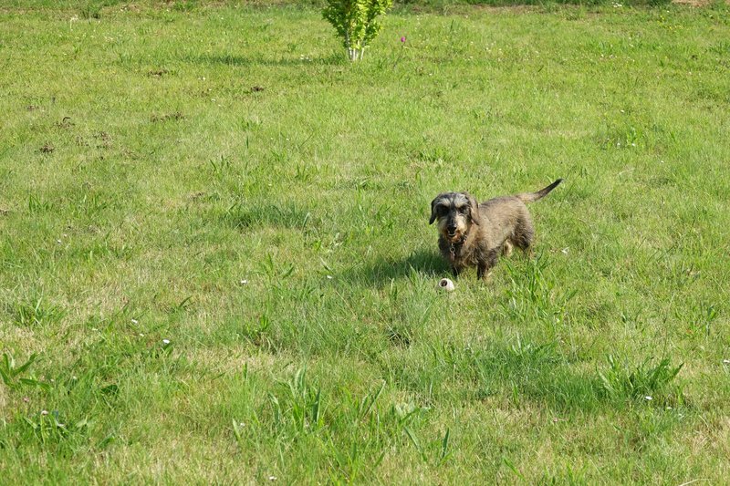 [Image: DSC01574.jpg]