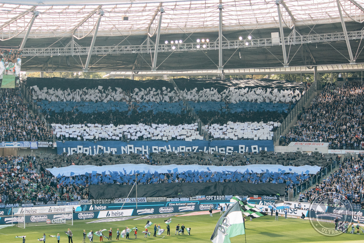 H96-DSC-01