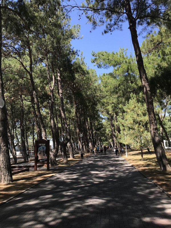 F1341556-FD3B-41A2-BC66-65CF86F89290