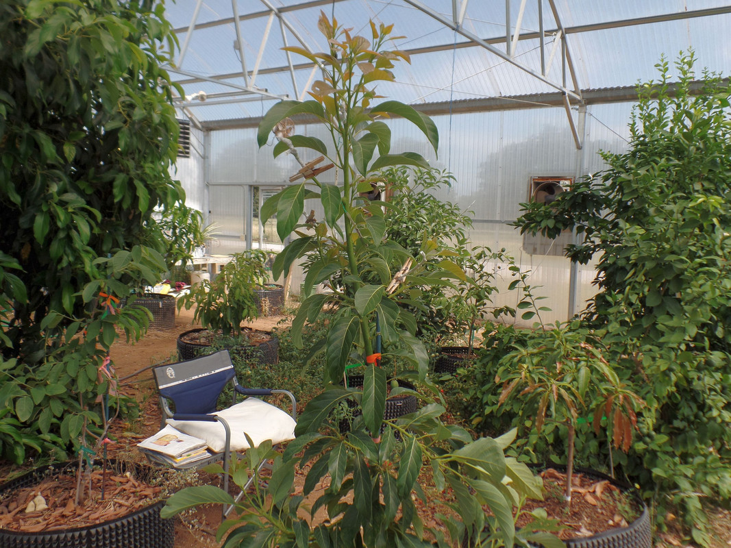 GreenhouseJune14
