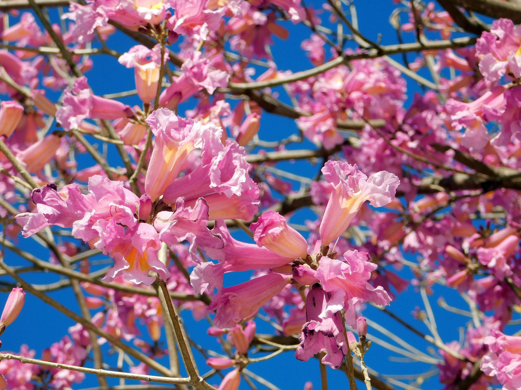 DSCN0237.jpg