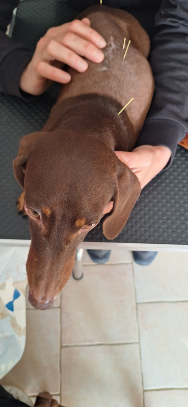 [Image: 20251002-152811.jpg]