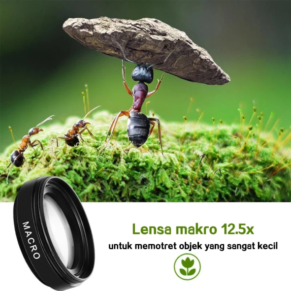 Bottle Cleaner Brush Detail