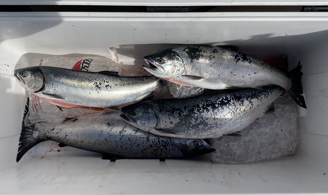 5E4CD529-52C5-4845-B32B-7F49371B3AD0