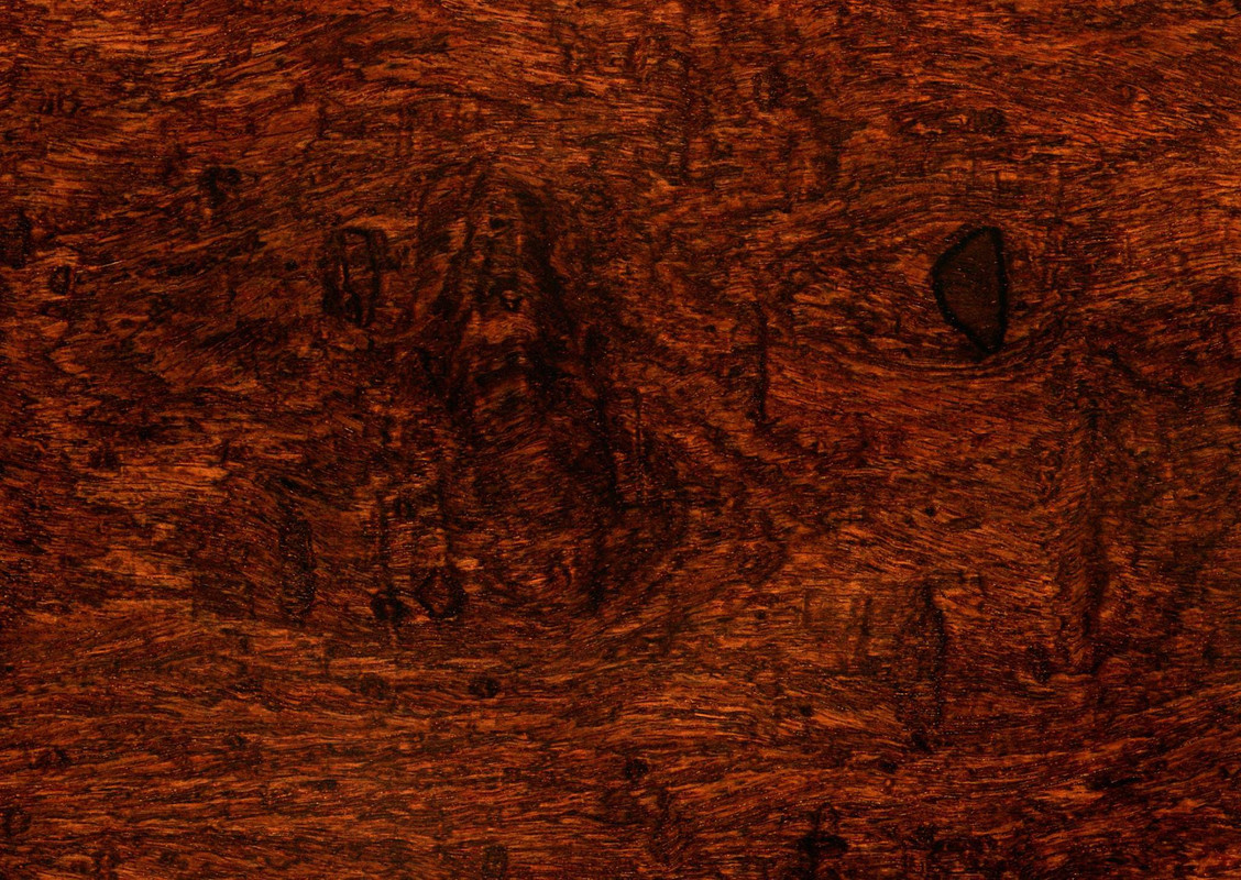 wood-texture-3dsmax-579