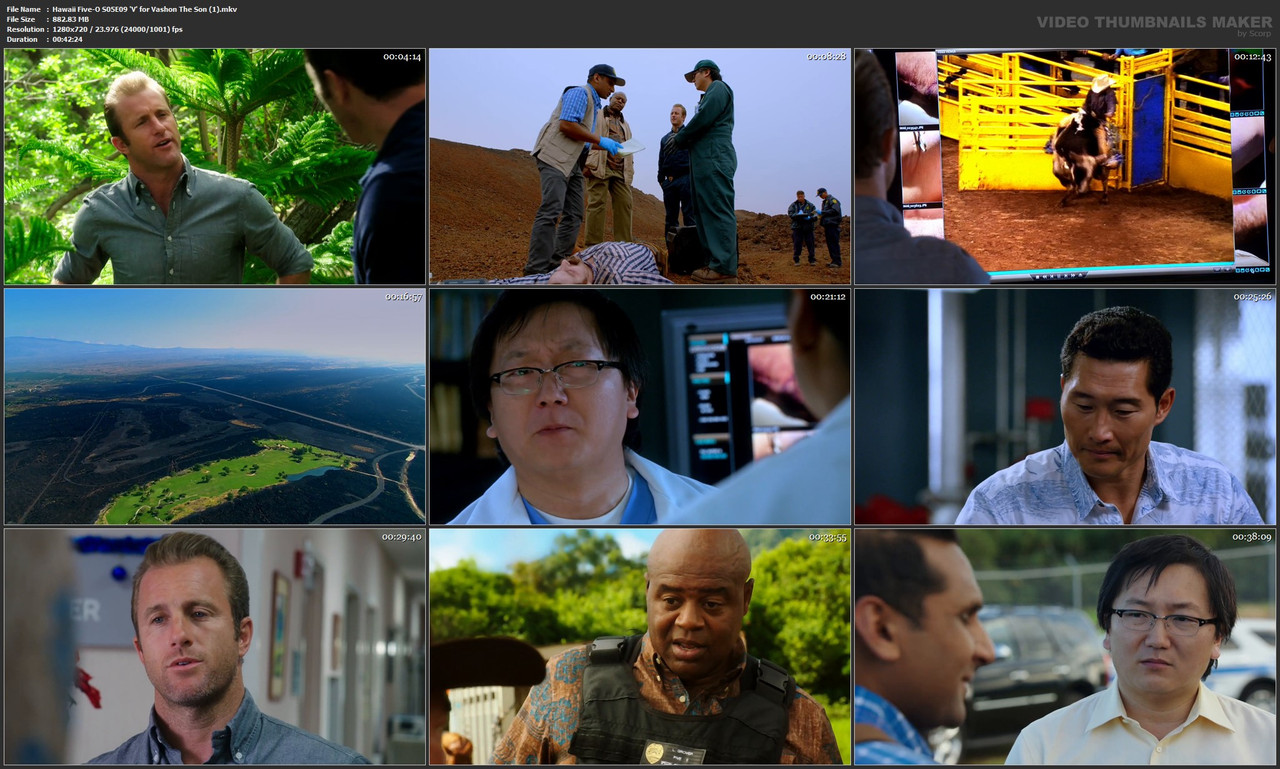 Hawaii Five-O S05E09 'V' for Vashon The Son (1).mkv