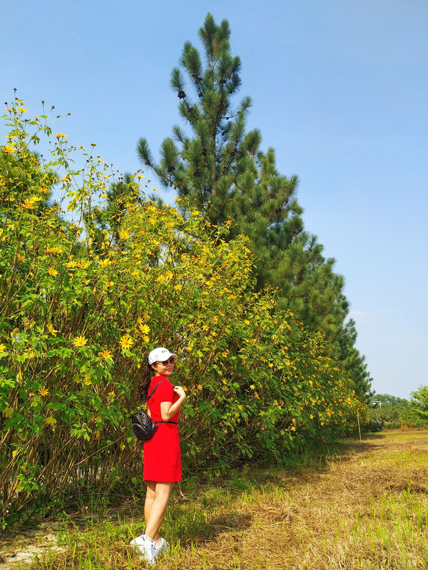 74383982_2443863992503690_5817659886787362816_o