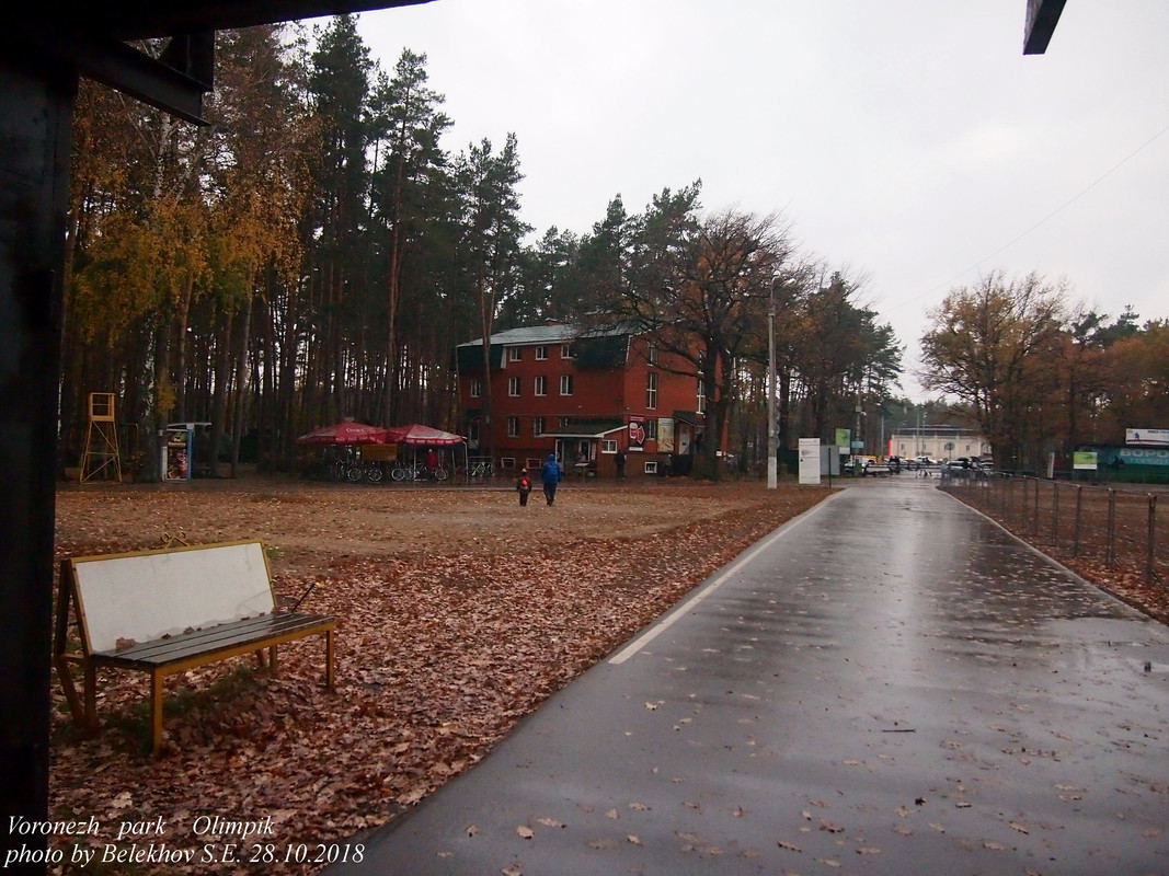 Воронеж, осень, парк