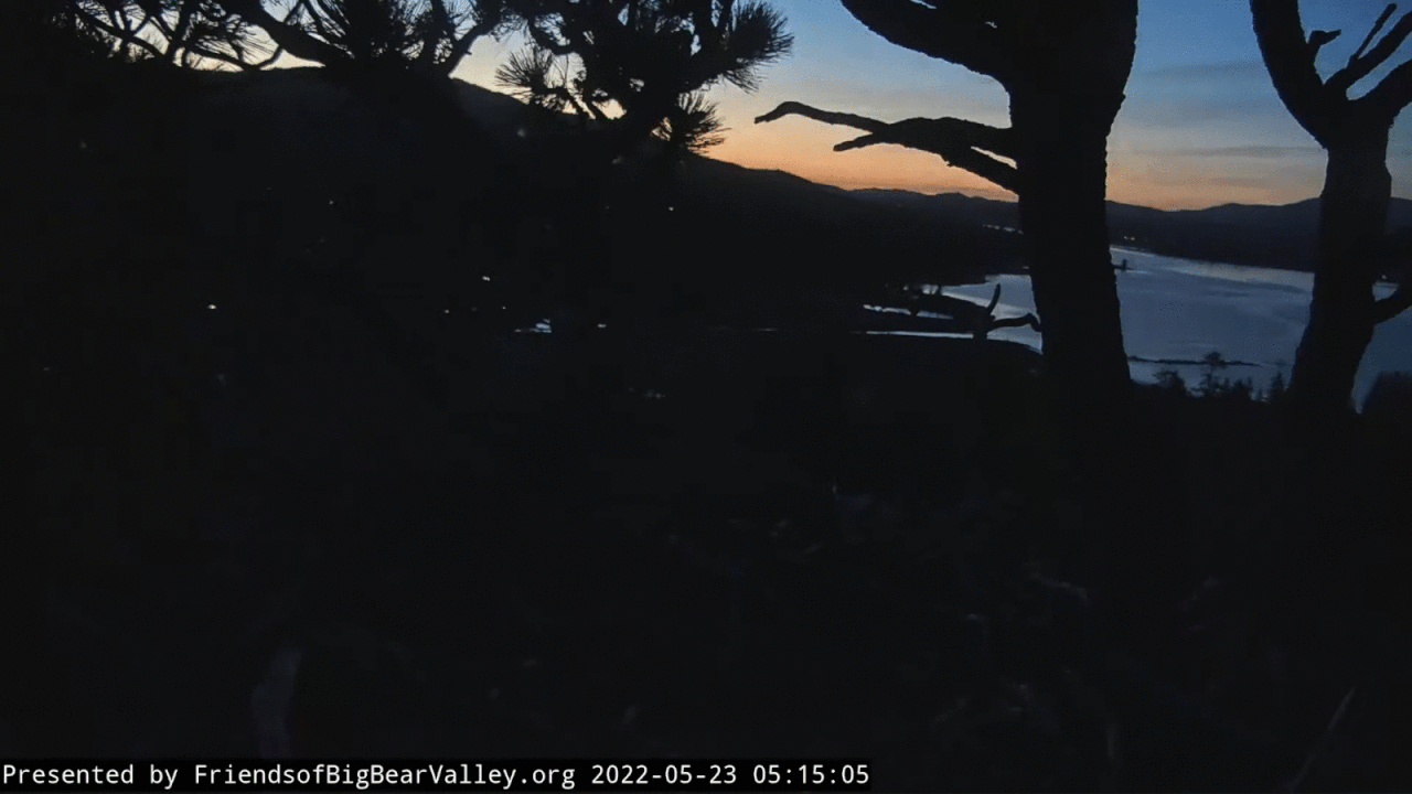 Webp.net-gifmaker (7)