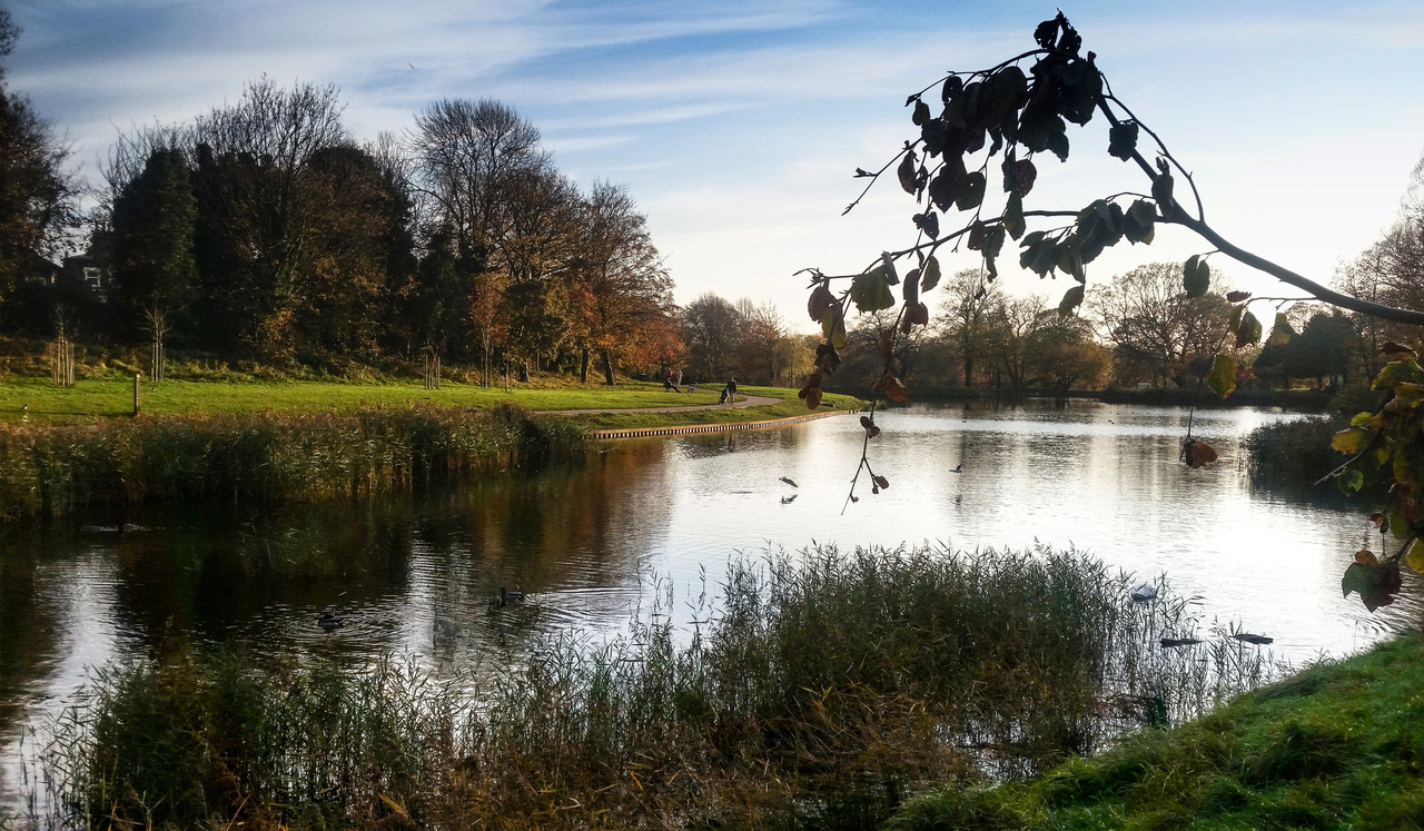 Princes Park Lake 2