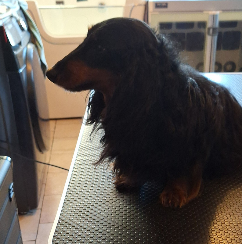 [Image: 20250313-172333.jpg]