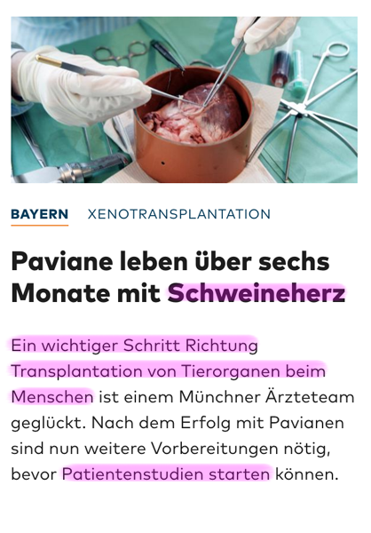 Organspende / Transplantation - Seite 3 Bildschirmfoto-2018-12-06-um-21-29-13