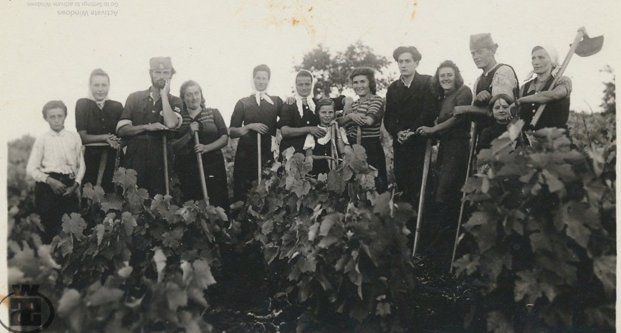 [Слика: Screenshot-1.png]