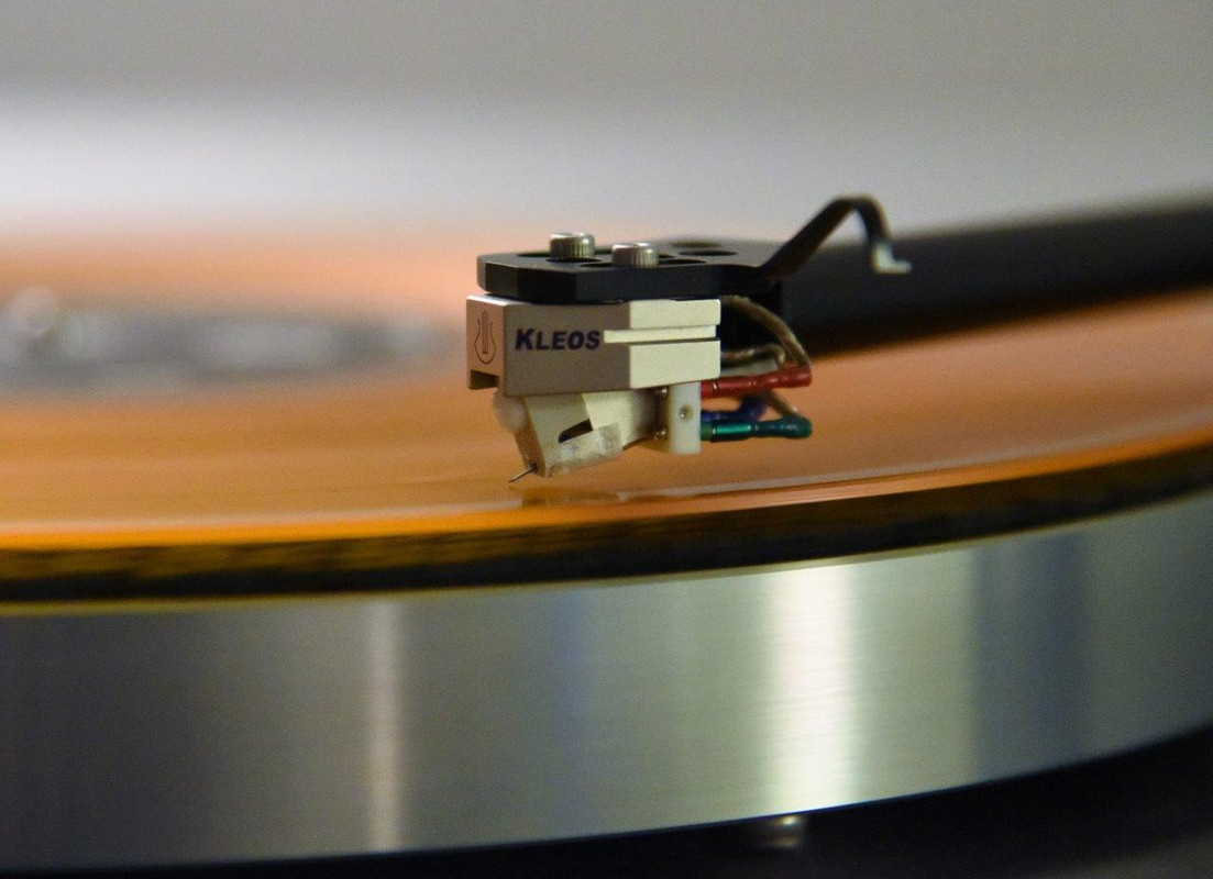 DSC_0069 (2)orange Kleos