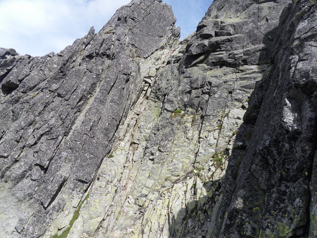 49 - SDC12217 (Czesio1)