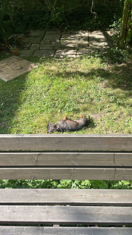 [Image: IMG-20230720-WA0002.jpg]