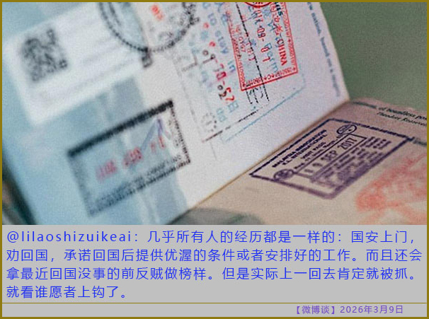 https://i.postimg.cc/JhLHLv9x/20260309-bt-(4).jpg