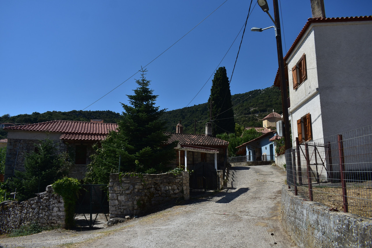 Καρυά (14)